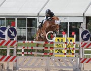 Bertolucci Victory Prins CsioArJYR SS7 7278 : Bertolucci Lorenzo, CSIO Giovani Arezzo, Victory Prins, foto Stefano Secchi ©